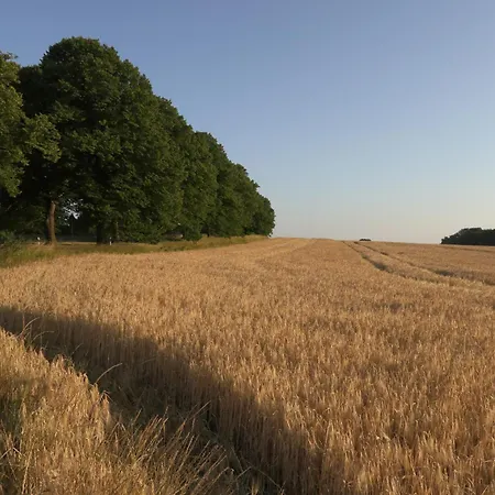 2 Ferienhaeuser Im Doppelpack Fuer Naturliebhaber, Strandnah, Ruhig, Mit Grossen Gaerten Klein Stromkendorf