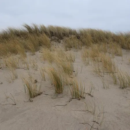 Ferienhaus 2 Im Doppelpack Für Naturliebhaber, Strandnah, Ruhig, Mit Großen Gärten *