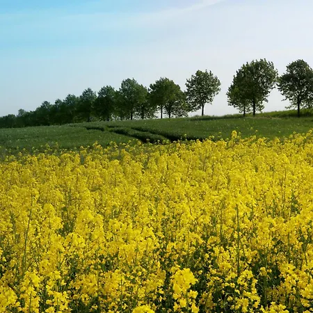 2 Ferienhaeuser Im Doppelpack Fuer Naturliebhaber, Strandnah, Ruhig, Mit Grossen Gaerten *
