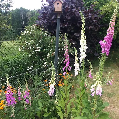 2 Im Doppelpack Für Naturliebhaber, Strandnah, Ruhig, Mit Großen Gärten *