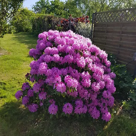 2 Im Doppelpack Für Naturliebhaber, Strandnah, Ruhig, Mit Großen Gärten Ferienhaus *