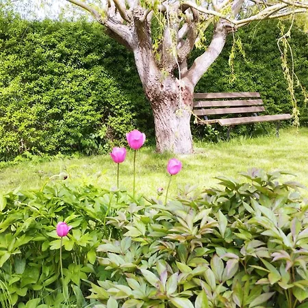 Ferienhaus 2 Im Doppelpack Für Naturliebhaber, Strandnah, Ruhig, Mit Großen Gärten