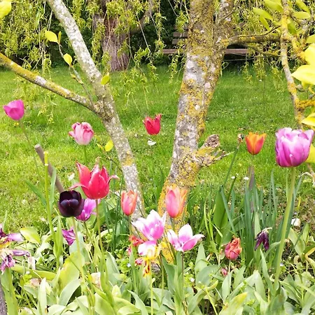 2 Im Doppelpack Für Naturliebhaber, Strandnah, Ruhig, Mit Großen Gärten Ferienhaus Klein Stromkendorf