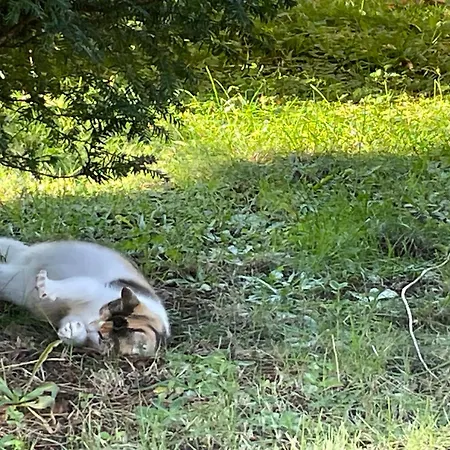 2 Im Doppelpack Für Naturliebhaber, Strandnah, Ruhig, Mit Großen Gärten Klein Stromkendorf