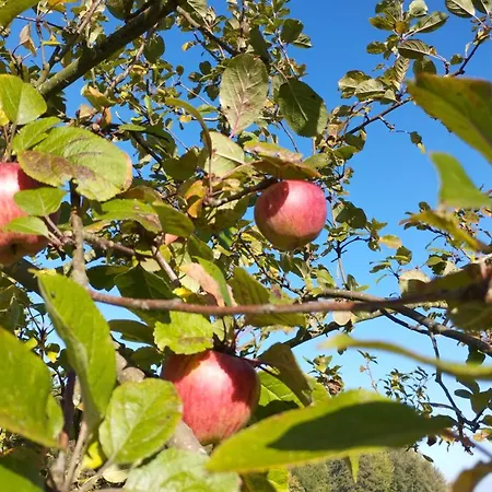 2 Ferienhaeuser Im Doppelpack Fuer Naturliebhaber, Strandnah, Ruhig, Mit Grossen Gaerten * Klein Stromkendorf