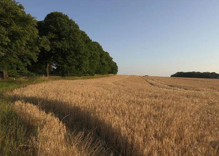 2 Ferienhaeuser Im Doppelpack Fuer Naturliebhaber, Strandnah, Ruhig, Mit Grossen Gaerten Klein Strömkendorf
