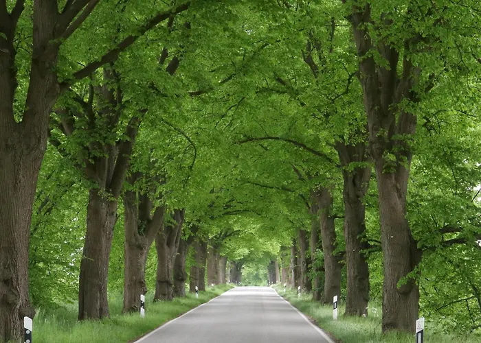 2 Ferienhaeuser Im Doppelpack Fuer Naturliebhaber, Strandnah, Ruhig, Mit Grossen Gaerten * Klein Strömkendorf