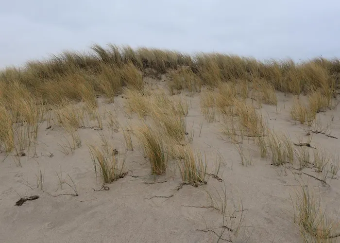 別荘 2 Ferienhaeuser Im Doppelpack Fuer Naturliebhaber, Strandnah, Ruhig, Mit Grossen Gaerten *