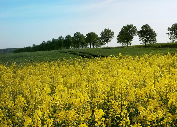 2 Ferienhaeuser Im Doppelpack Fuer Naturliebhaber, Strandnah, Ruhig, Mit Grossen Gaerten *