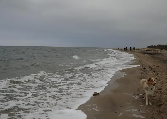 2 Ferienhaeuser Im Doppelpack Fuer Naturliebhaber, Strandnah, Ruhig, Mit Grossen Gaerten Klein Strömkendorf