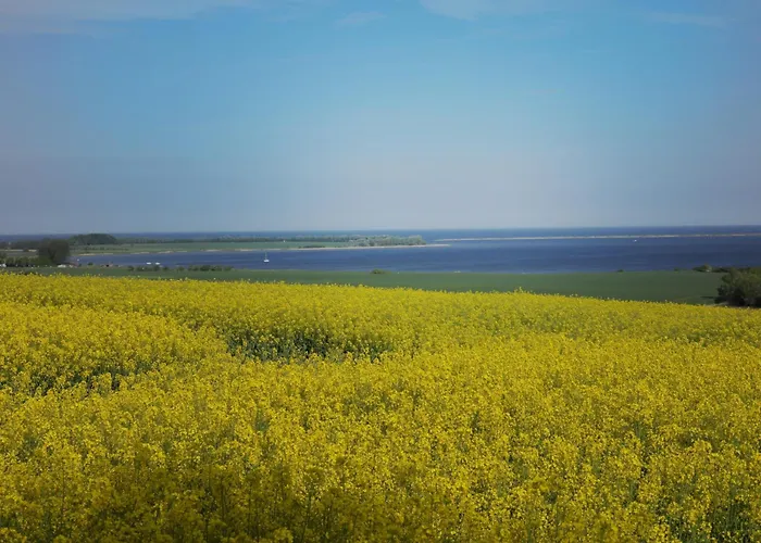 2 Ferienhaeuser Im Doppelpack Fuer Naturliebhaber, Strandnah, Ruhig, Mit Grossen Gaerten 別荘