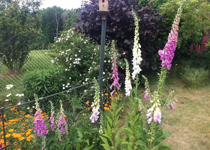 2 Ferienhaeuser Im Doppelpack Fuer Naturliebhaber, Strandnah, Ruhig, Mit Grossen Gaerten *