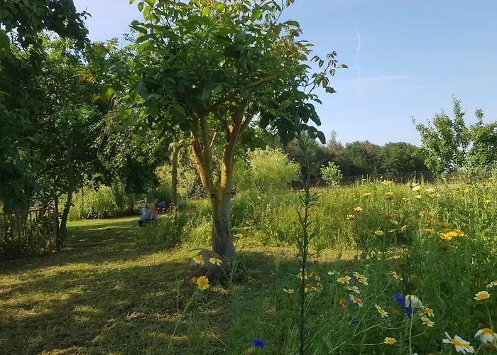 2 Ferienhaeuser Im Doppelpack Fuer Naturliebhaber, Strandnah, Ruhig, Mit Grossen Gaerten * Klein Strömkendorf
