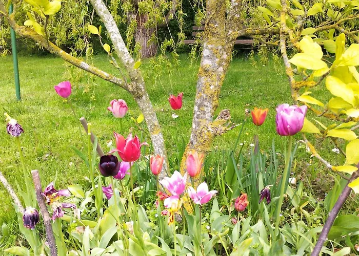 2 Ferienhaeuser Im Doppelpack Fuer Naturliebhaber, Strandnah, Ruhig, Mit Grossen Gaerten 別荘 Klein Strömkendorf