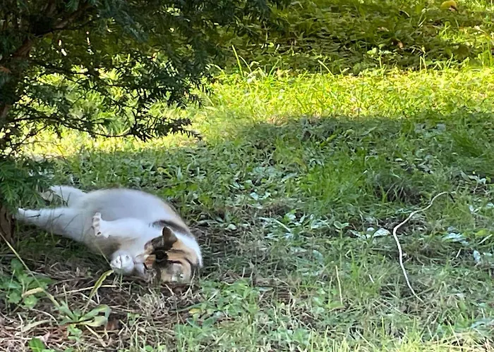2 Ferienhaeuser Im Doppelpack Fuer Naturliebhaber, Strandnah, Ruhig, Mit Grossen Gaerten Klein Strömkendorf