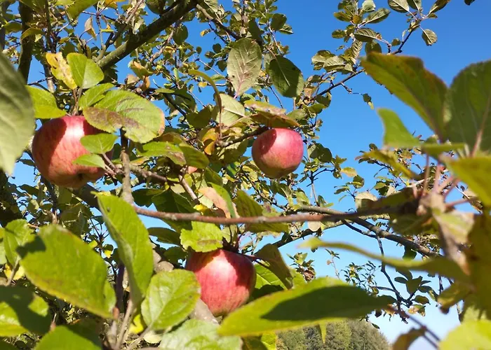 2 Ferienhaeuser Im Doppelpack Fuer Naturliebhaber, Strandnah, Ruhig, Mit Grossen Gaerten * Klein Strömkendorf